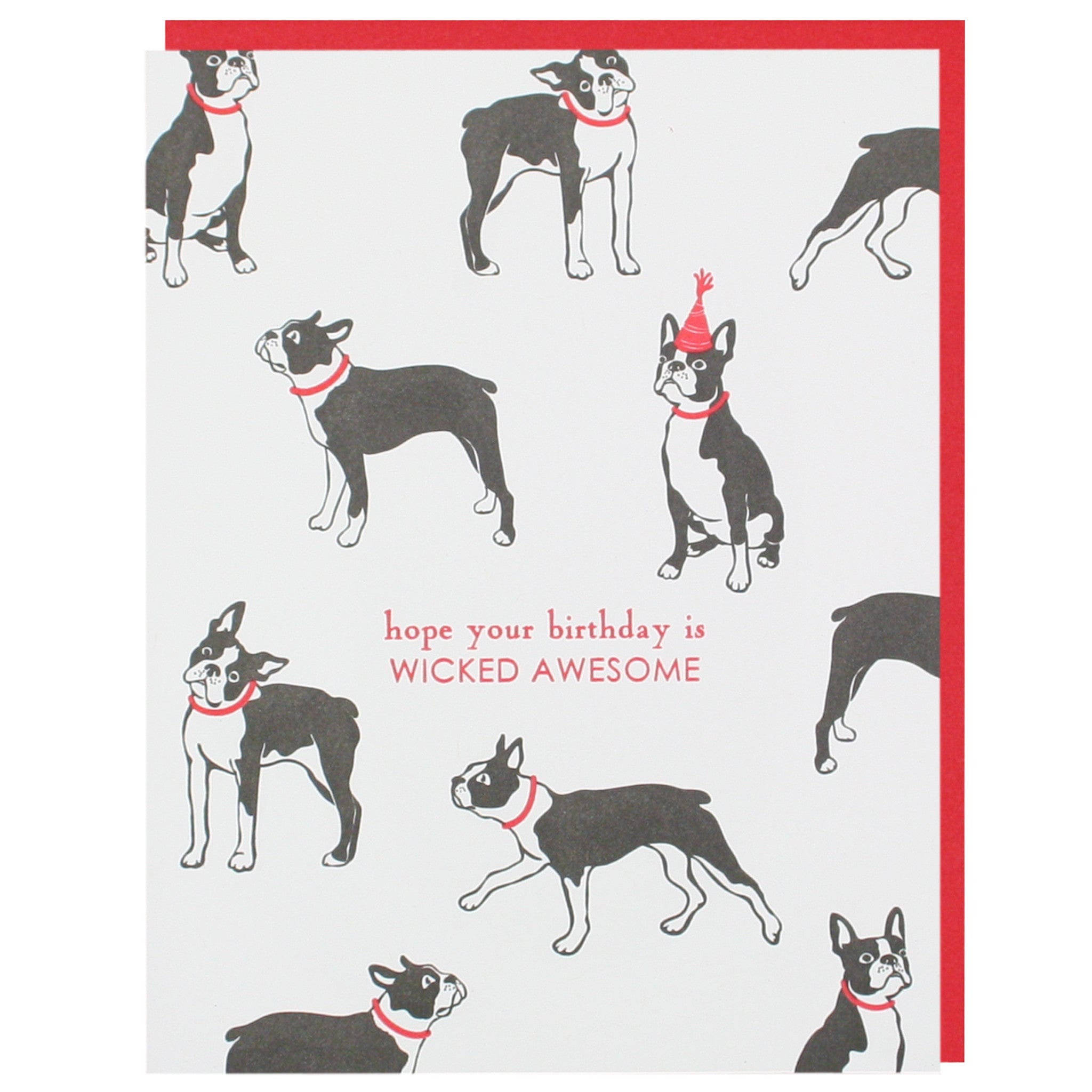 Boston Terrier Birthday Card | Birthday card