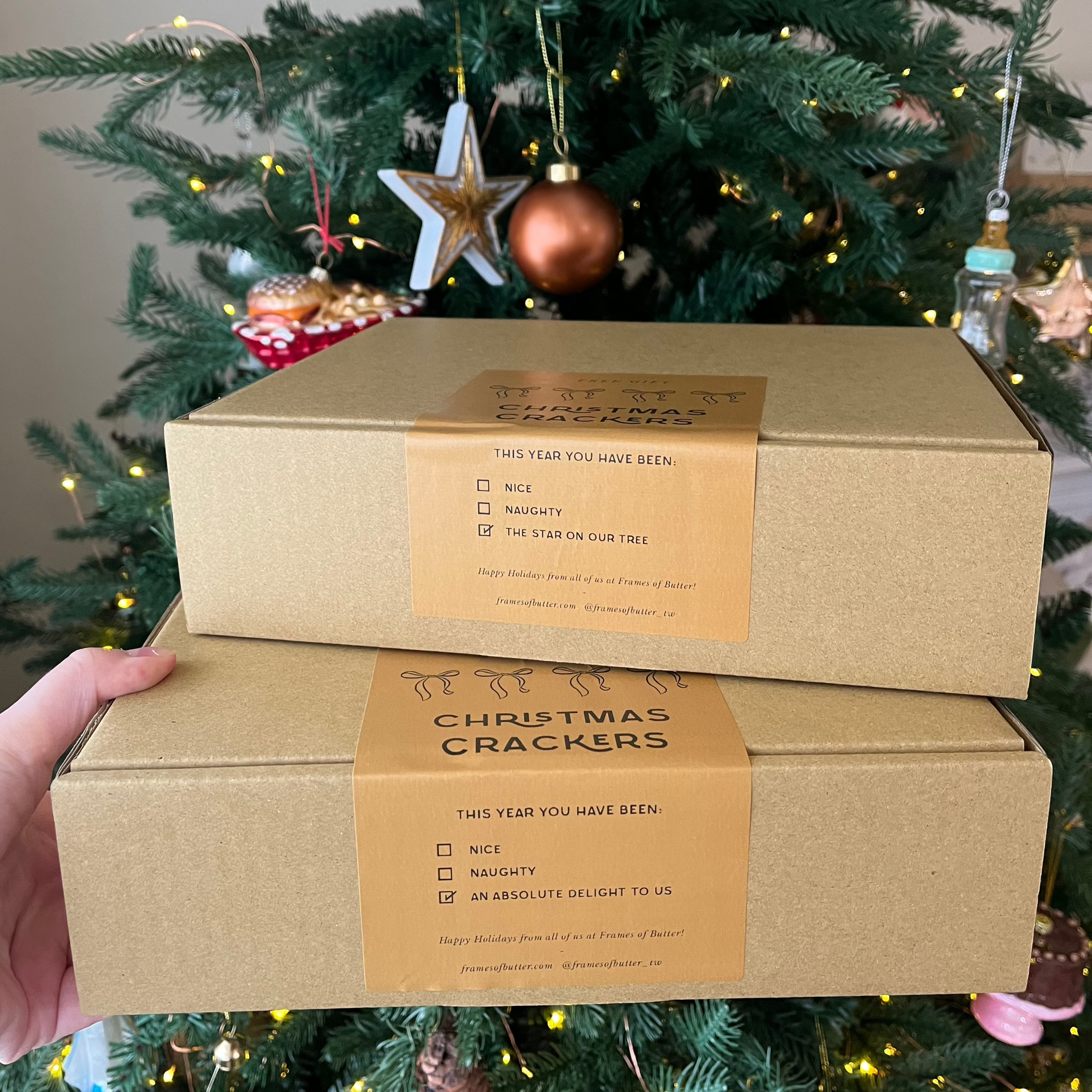 Our Favourite Things Christmas Crackers (Set of 3)