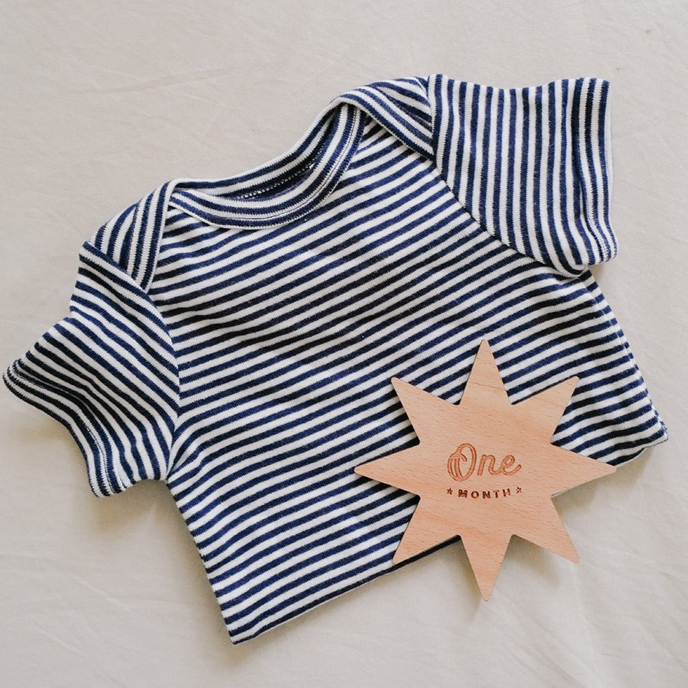 Baby monthly photo props