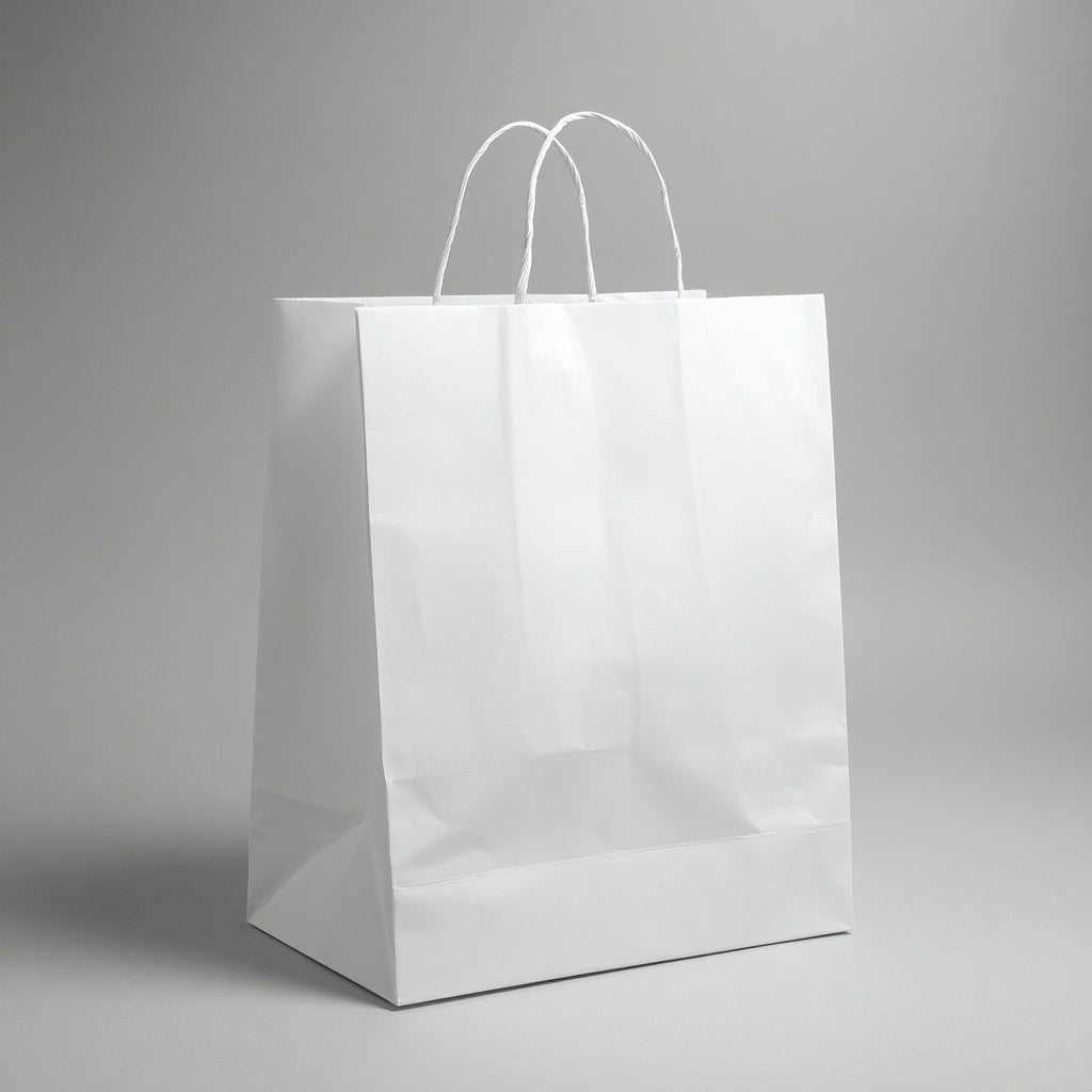 Gift Bag with Handles